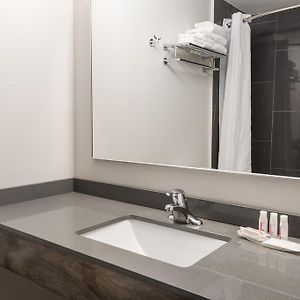 Deluxe Studio Suite